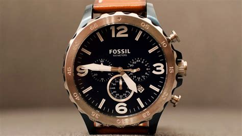 fossil 年齢 層
